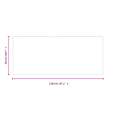 Fireplace Glass Plate Transparent 120 x 50 cm Glass 353854