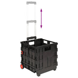 Cart Manual Black and Red 35 x 39 x 92 cm PP and Elastomer 42033393