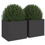 ZNTS Planters 2 pcs Black 32x30x29 cm Steel 841536