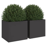 Planters 2 pcs Black 32x30x29 cm Steel 841536