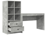 Desk with Drawer with Shelf with Storage 2 pcs Concrete Grey 3337324