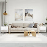 Coffee Tables 2 pcs High Gloss White 50x46x50 cm Engineered Wood 830897