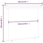 ZNTS Balcony Side Awning 165x250 cm Red 48433