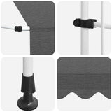 143691 Manual Retractable Awning 350 cm Anthracite