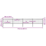 Garden Fence with Spear Top Steel 714.5x100 cm Black 277614