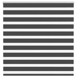 Zebra Blind Black 150x150 cm Fabric Width 145.9 cm Polyester 4014245