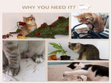 Cat Wall Shelves/Cat Trees /Cat Climbing Tower 63475914