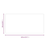 Fireplace Glass Plate Rectangular 120x60 cm 324132