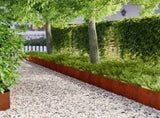 Lawn Edging 20 pcs 100 x 30 cm Steel Rusty 8008642