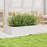 Garden Planter White 110x60x23 cm Solid Wood Pine 847239