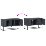 TV Cabinet Anthracite 100.5x39x60.5 cm Steel 846478