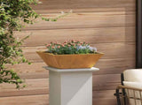 Garden Planter 5 pcs Rusty 40 x 40 x 15 cm Weathering Steel 873823