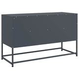 TV Cabinet Anthracite 100.5x39x60.5 cm Steel 846544