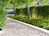 Lawn Edging 30 pcs 100 x 12 cm Steel White 8008790