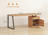 Computer Desk, Writing Desk with Cabinet, Drawer, Metal Legs, Work Table for Home Office Study, T3398P423539