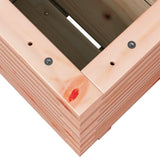 Garden Planter 40x40x49.5 cm Solid Wood Douglas 3282512