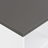 ZNTS Bar Table White and Anthracite Grey 60x60x110 cm 280210