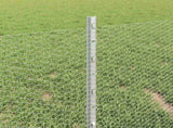 Welded Wire Fence 50 x 0.4 m Hot-Dip Galvanised Steel 3337018