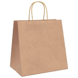 Paper Bags 250 pcs with Handles Brown 26x17x25 cm 4101591