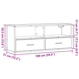 TV Cabinet Sonoma Oak 100x31x39.5 cm Engineered Wood and Metal 848930