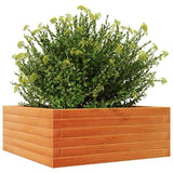 Garden Planter Wax Brown 60x60x23 cm Solid Wood Pine 847190
