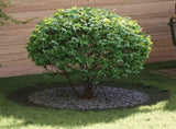 suitable for Flat Tree Ring Olive green 90 / 120 cm Steel 873724