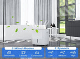30L/Day Dehumidifier with Auto-Clean Filter, Continuous Drainage, 4L Water Tank, 24H Timer, Digital T3398P342456