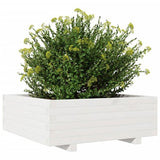 Garden Planter White 70x70x26.5 cm Solid Wood Pine 847304