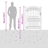 Fence Gate with Spikes EMMEN 200 x 100 cm Powder-coated steel 42009006
