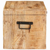 Storage Box with Storage with Door Brown Solid Mango Wood 4104569