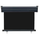 Balcony Side Awning 105x250 cm Black 48412