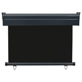 Balcony Side Awning 105x250 cm Black 48412
