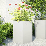 ZNTS Garden Planter 2 pcs White Hexagon 46x40x45 cm Steel 851111