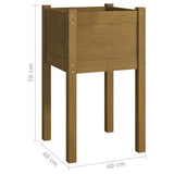 Garden Planters 2 pcs Honey Brown 40x40x70 cm Solid Pinewood 810796