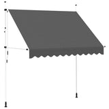 143689 Manual Retractable Awning 250 cm Anthracite