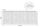 Gabion with 3.5 mm Wire and 5x10 cm Mesh 200x20x100 cm 3462622