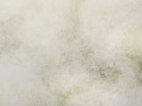 Duvet and Pillow Set 2 pcs 137x200 cm Winter 450 GSM Wool White 3441092