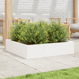 Garden Planter White 100x100x23 cm Solid Wood Pine 847209