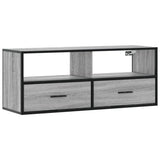 TV Cabinet Grey Sonoma 100x31x39.5 cm Engineered Wood and Metal 848932