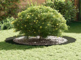 suitable for Flat Tree Rings 5 pcs Olive green 90 / 120 cm Steel 873725