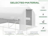 3 x 2 Walk-in Polytunnel Greenhouse, Zipped Roll Up Sidewalls, Mesh Door, 6 Mesh Windows, Tunnel T3398P314681