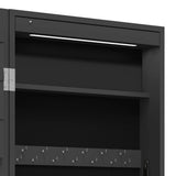 Mirror Jewellery Cabinet with LED Lights Wall Mounted Black 353230