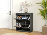 Two-Drawer Minimalistic 10-Shoe Cabinet - Black T3398P423894