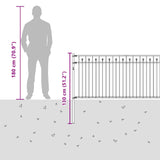 Spike Fence BAARLO Black 42030101