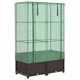 Raised Bed with Greenhouse Cover Rattan Look 80x40x138 cm 4015800