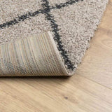 Shaggy Rug PAMPLONA High Pile Modern Beige and Anthracite 160x230 cm 375391