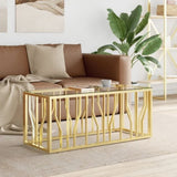 Coffee Table 110x45x45 cm Stainless Steel and Glass 350050