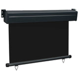 Balcony Side Awning 105x250 cm Black 48412