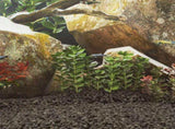 Volcanic Rocks 25 kg Black 1-2 cm 155318