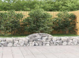 Arched Gabion Baskets 4 pcs 200x30x40/60 cm Galvanised Iron 3146049